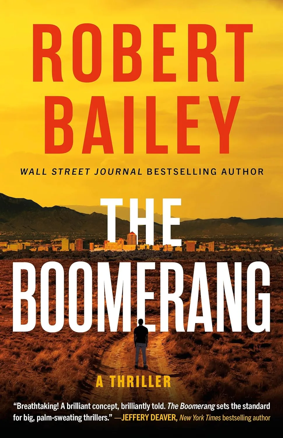 The Boomerang: A Thriller Paperback  May 1, 2025